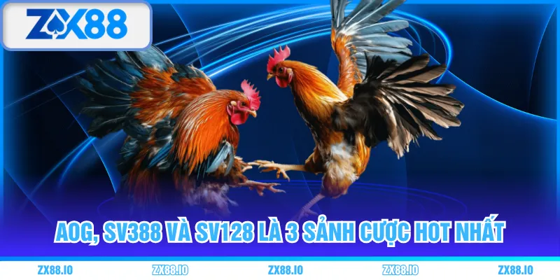 AOG, SV388 và SV128 là 3 sảnh cược hot nhất