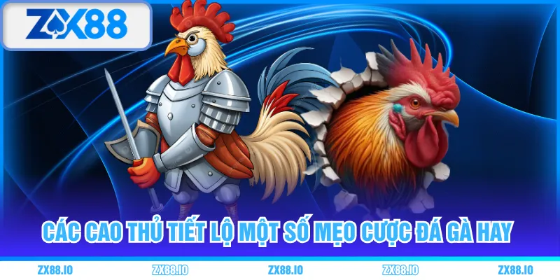 Các cao thủ tiết lộ một số mẹo cược đá gà hay 